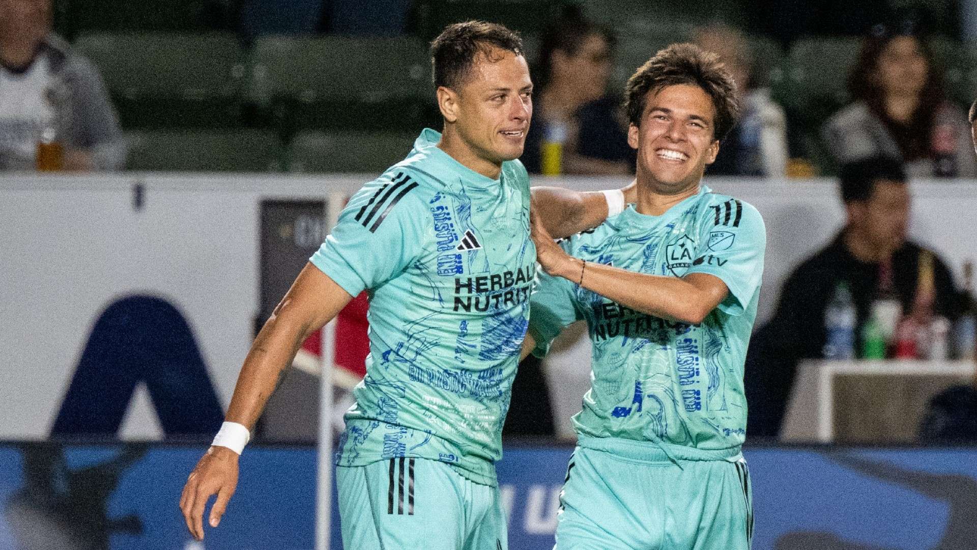 迷对球队及 迷对球队及